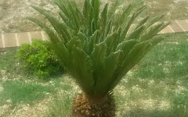 Agriturismo Isola Verde