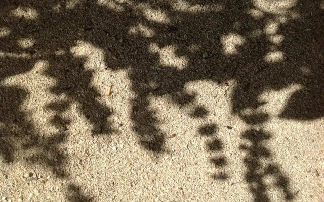 Te Ora Hau Ecolodge