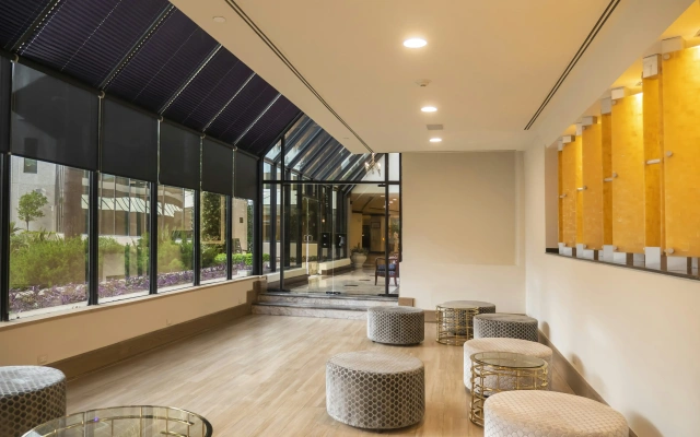 MS Milenium Monterrey, Curio Collection by Hilton