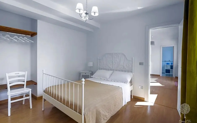 Domus Citri