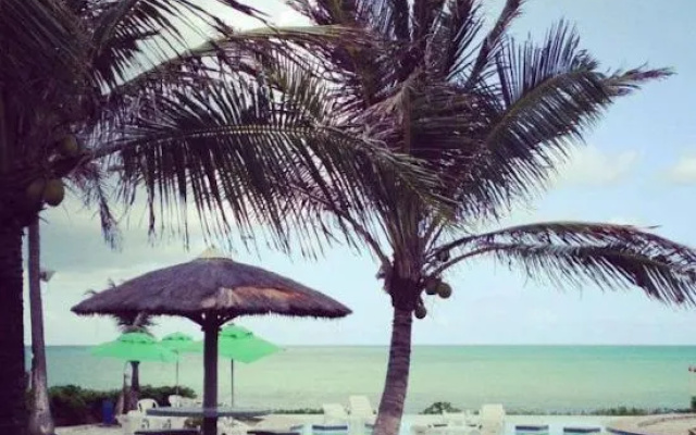Pousada Paradise- Al