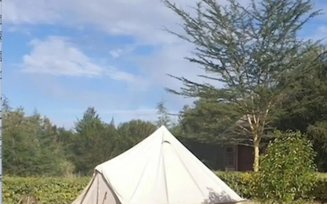Great Circle Camping and Game Drives