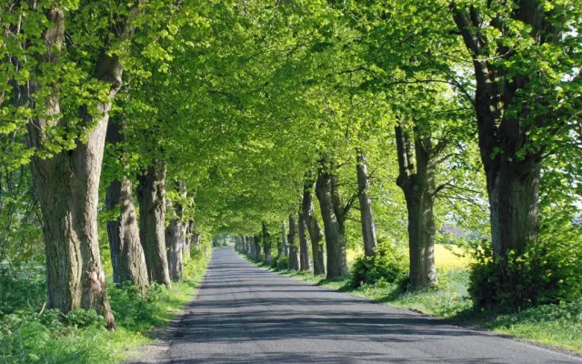 schöne Ferienwohnungen in Dranske auf dem Windland