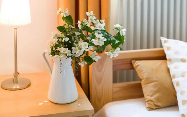 Apartment Krakow Near Wawel Castle