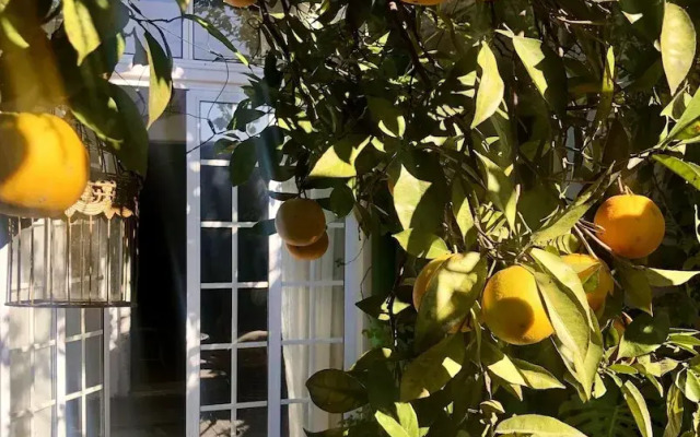House Sleeps 4 With Private Garden