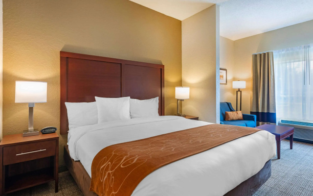 Comfort Suites Downtown