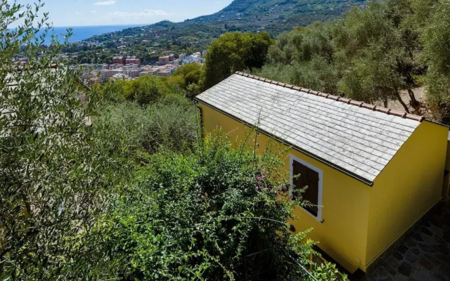 Santa Margherita