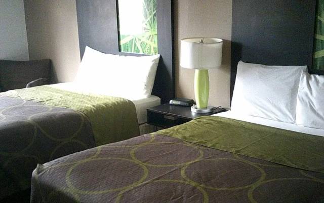 The Suite Inn