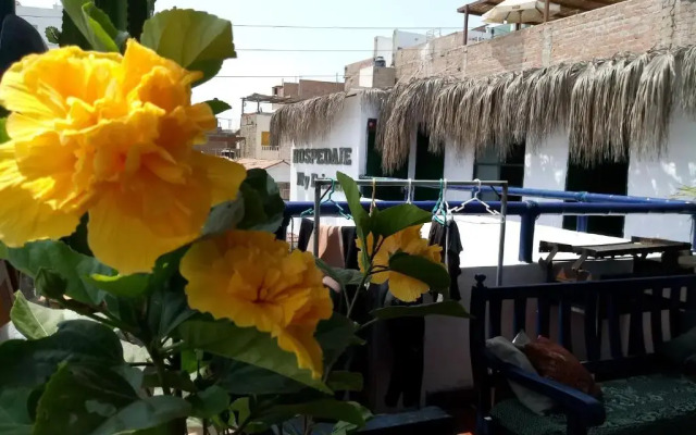 My Friend Surf Hostal
