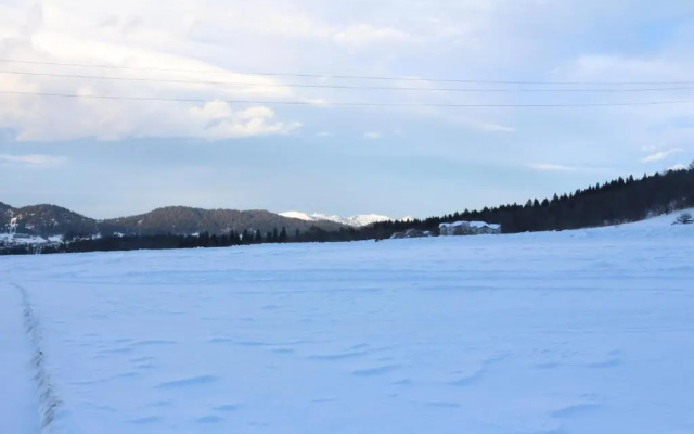 Crystal Resort Bakuriani A404