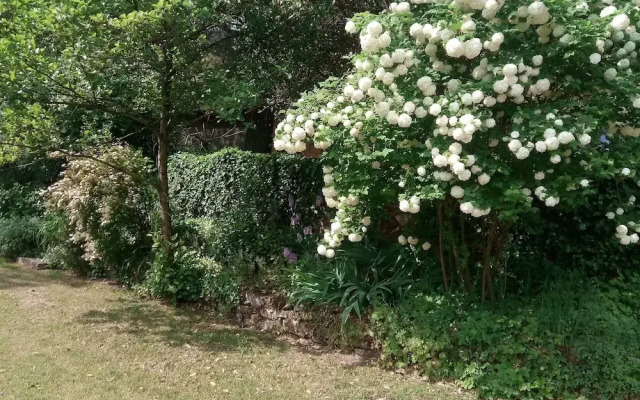La Casa dei Ricordi in Buti