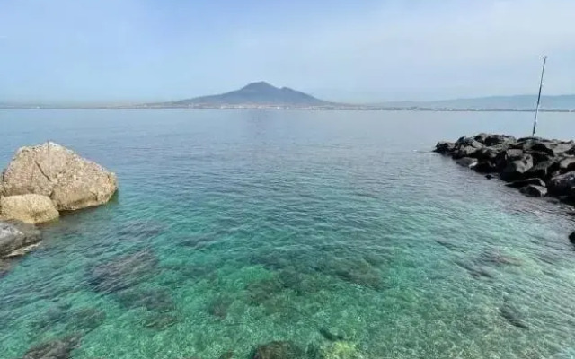 Tettoeletto Garden Bio