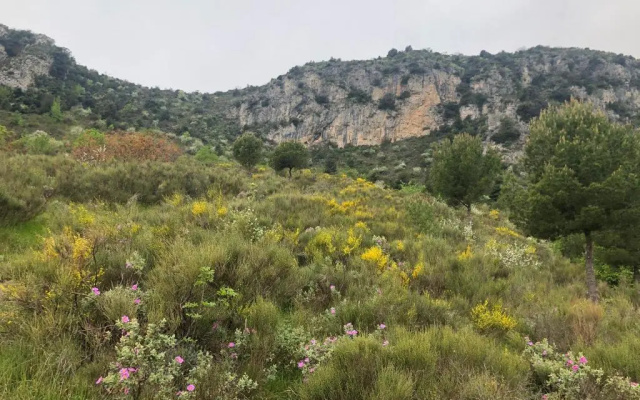 "Aux Balcons du Riou" Avec Vue Mer 180 Degres