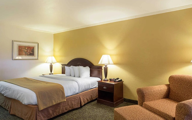 Quality Hotel