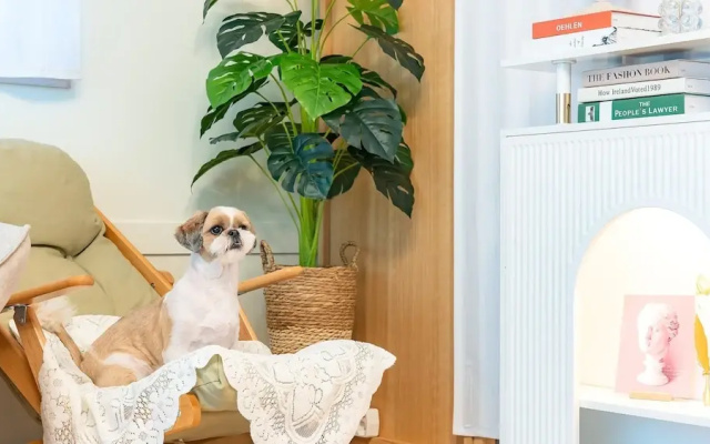 Taean Withdog Aegyeonspa Poolvilla