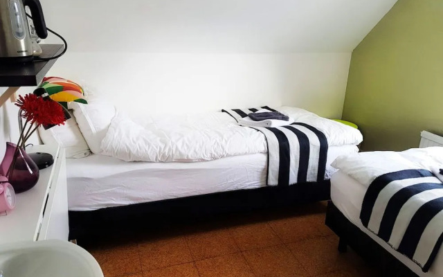 Refurinn Reykjavik Guesthouse - Hostel