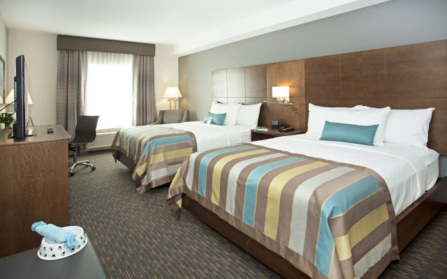 Wingate By Wyndham Calgary Airport