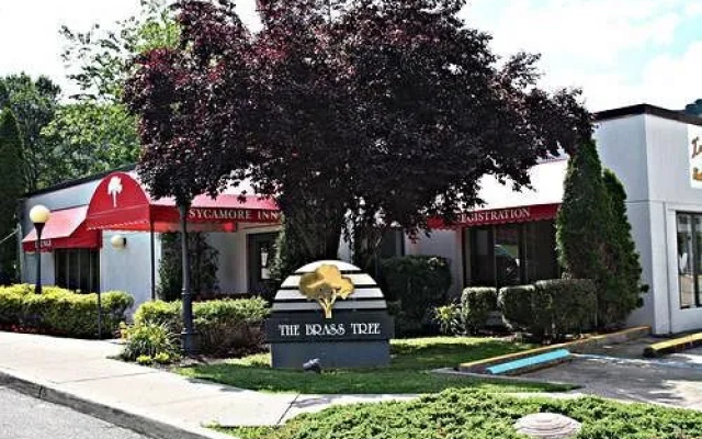 Sycamore Inn Williamson