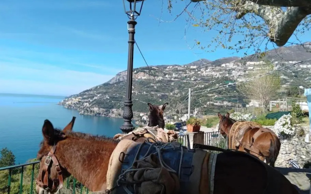 TakeAmalfiCoast Patchwork Rural House