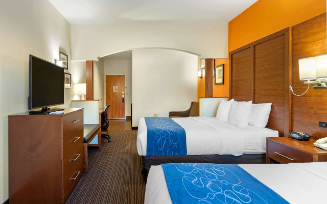 Comfort Suites Stevensville - St. Joseph