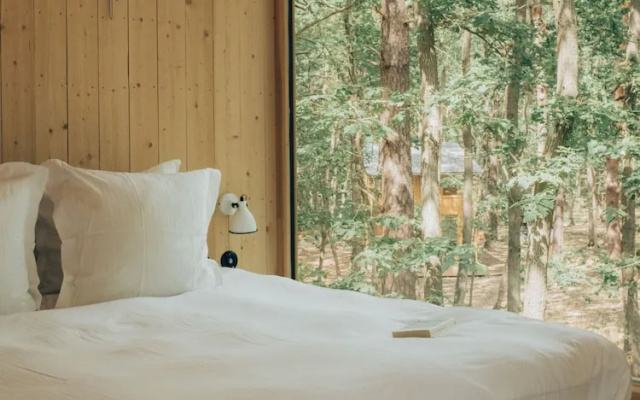 Youza Ecolodge - Cabane dans les arbres