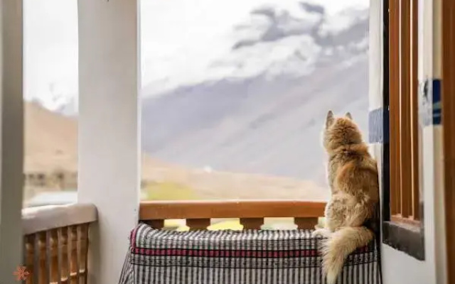 Zostel Spiti