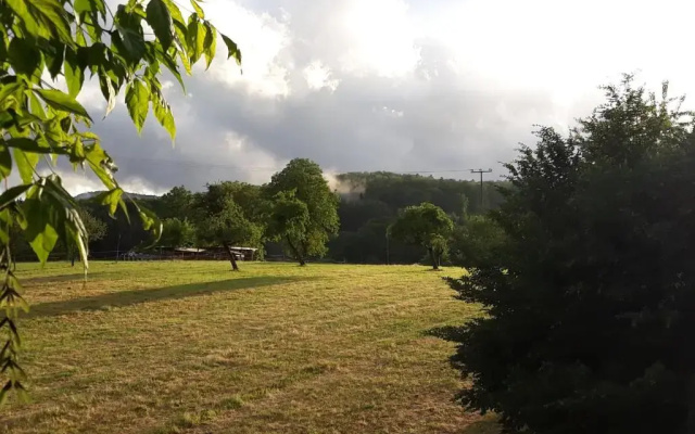 Paradiesli am Hochrhein