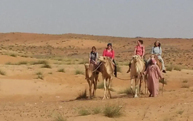 Desert Wonders Camp
