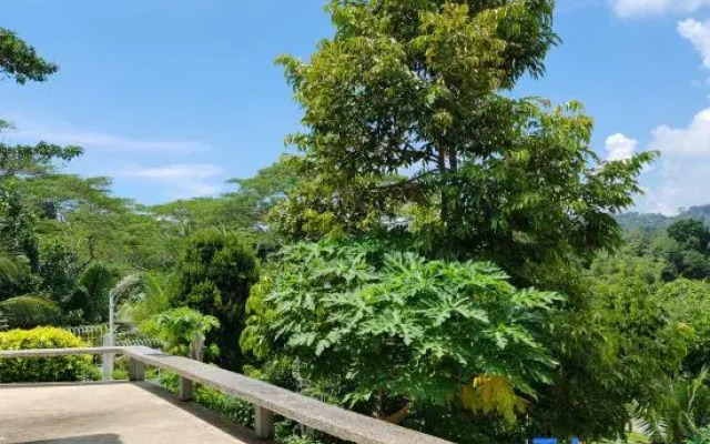 The Green Cloud Sandakan