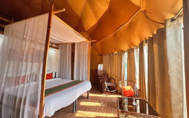 Nestonature Glamping Dharamshala