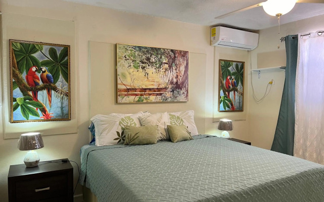 Tropical Hideaway