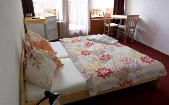 Lesní Pension