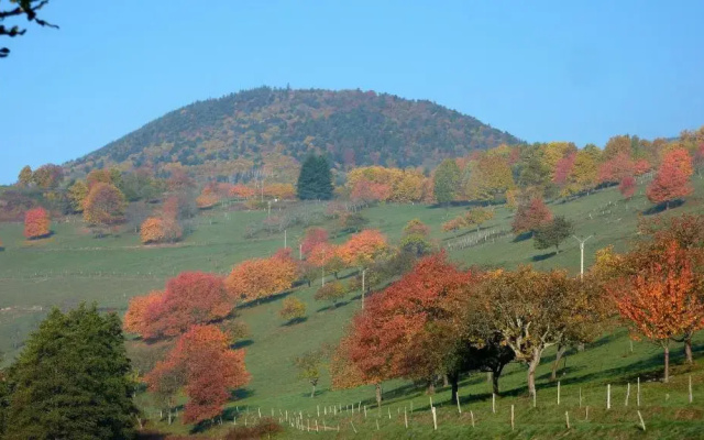 Gîte Schlitteur Et Sapiniere