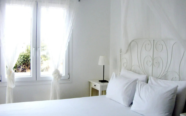 Andros Luxury House