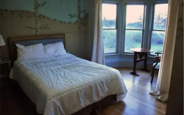 Golden Tree Hostel