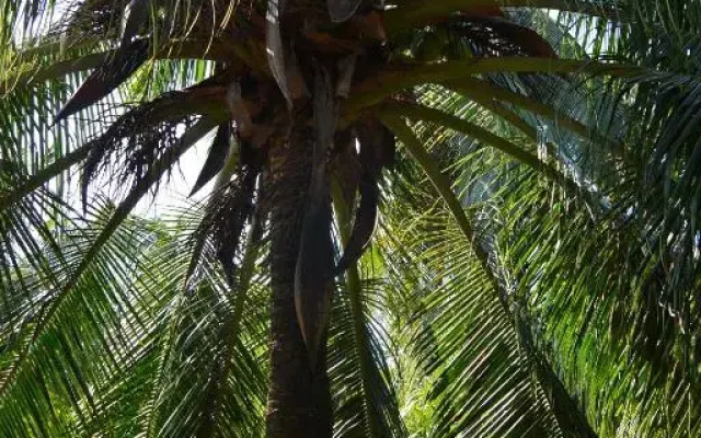 Eden Eco Village