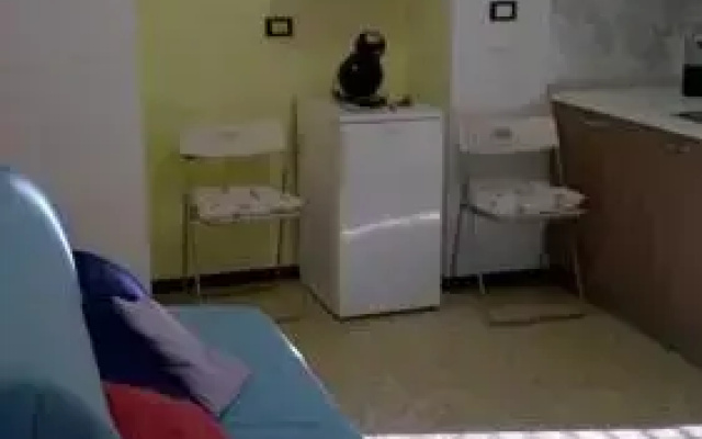 Il Martello