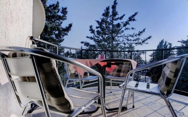 Apartments Dragica 1251