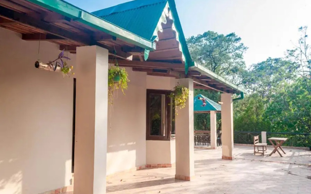 The Camphor Tree - Pura Stays
