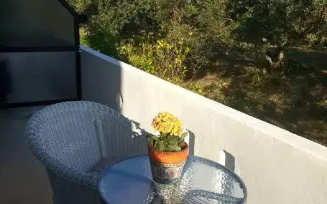 Olive apartment