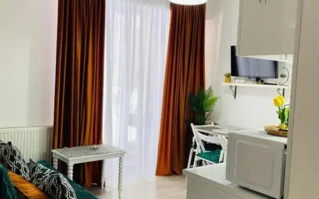 bakuriani didveli apartment
