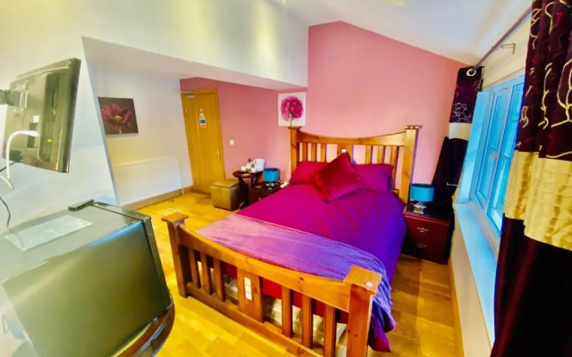 Dreamhaven