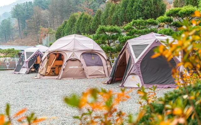 Dorothy's Forest Pension