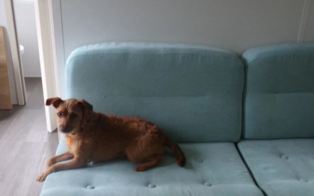 Mobil home au calme