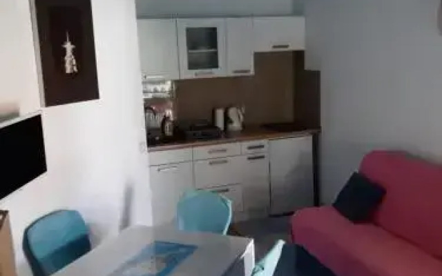 Apartment Plavo Sidro
