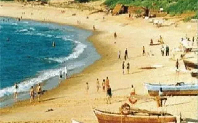 Mapple Viva Goa Resort