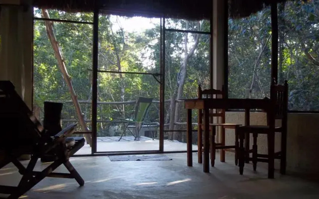 Treetop Palapa