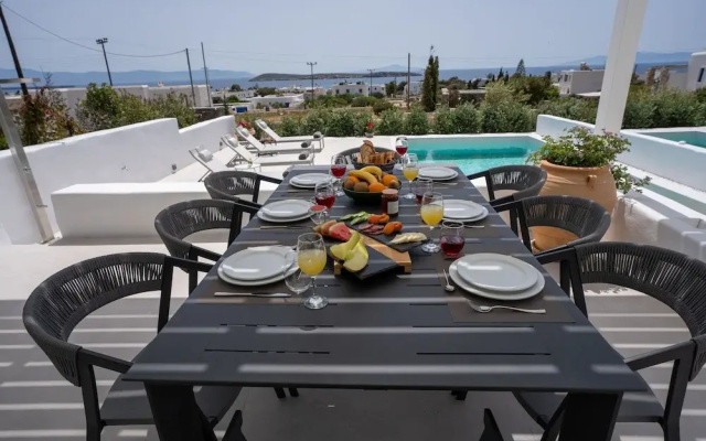 Luxury Paradise Villa Iliad In Paros