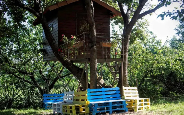 Quinta do Pinheiral