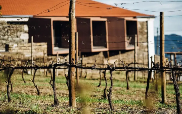 Casa do Santo - Wine & Tourism